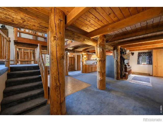 678 Palisade Mountain Drive Drake, CO 80515