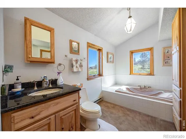 678 Palisade Mountain Drive Drake, CO 80515