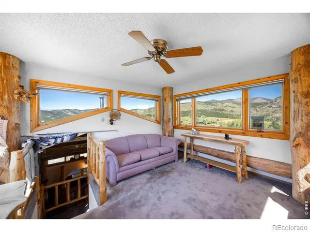 678 Palisade Mountain Drive Drake, CO 80515