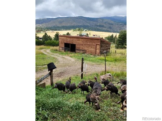 678 Palisade Mountain Drive Drake, CO 80515