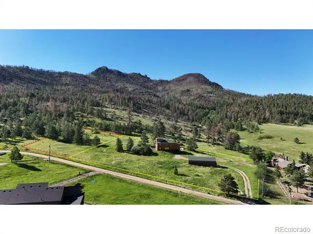 678 Palisade Mountain Drive Drake, CO 80515