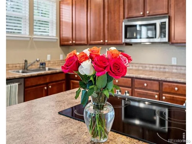 12802 King Street #66 Broomfield, CO 80020