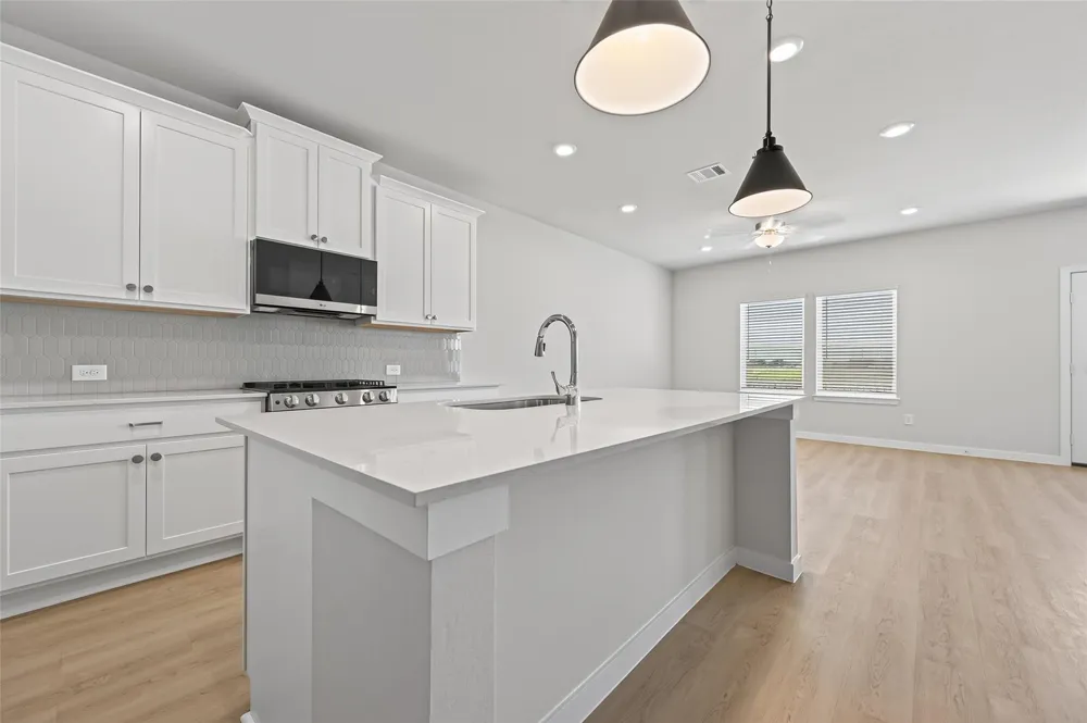 26134 Venus Trap Trail Katy, TX 77493