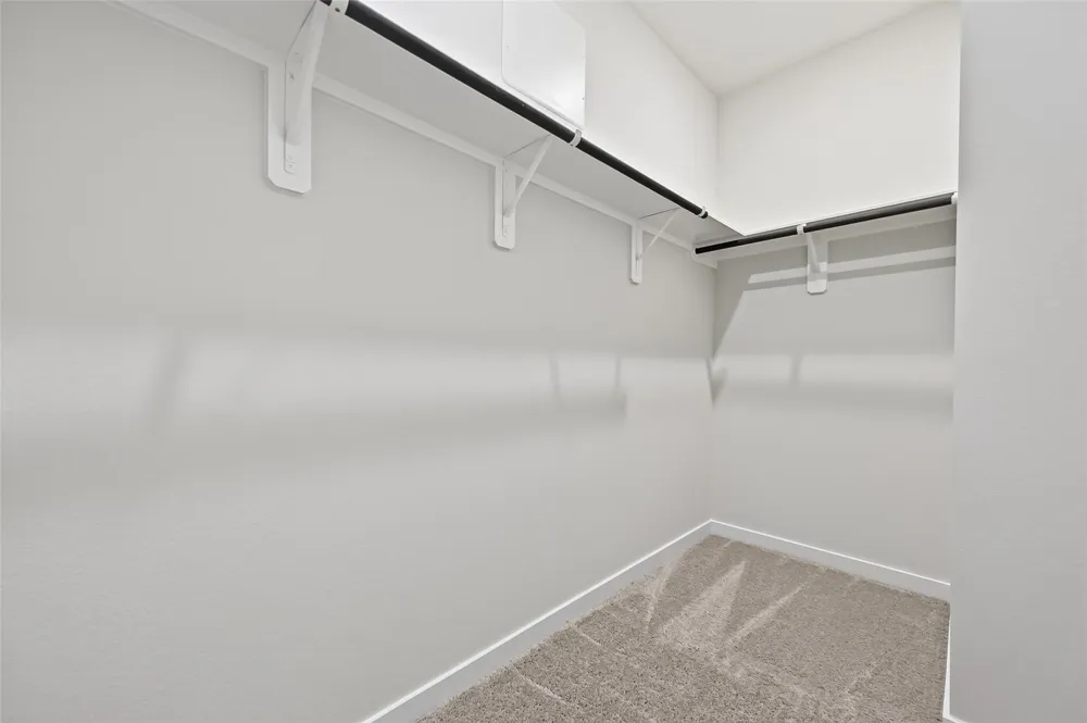 26134 Venus Trap Trail Katy, TX 77493