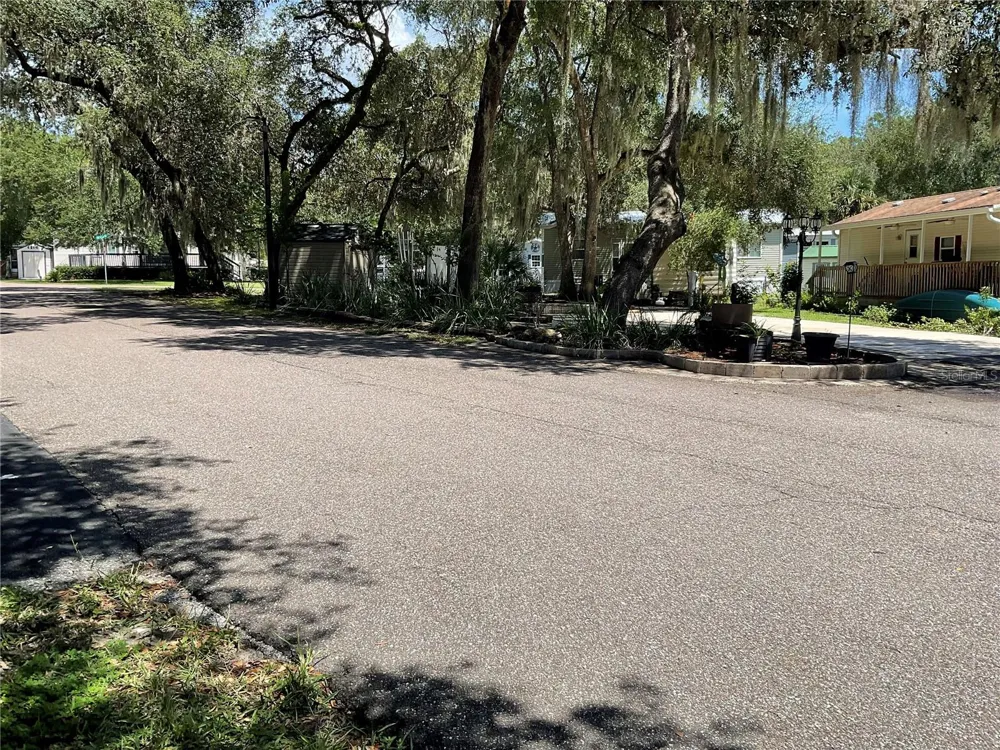 25289 NE 140TH LANE NE #363 Salt Springs, FL 32134