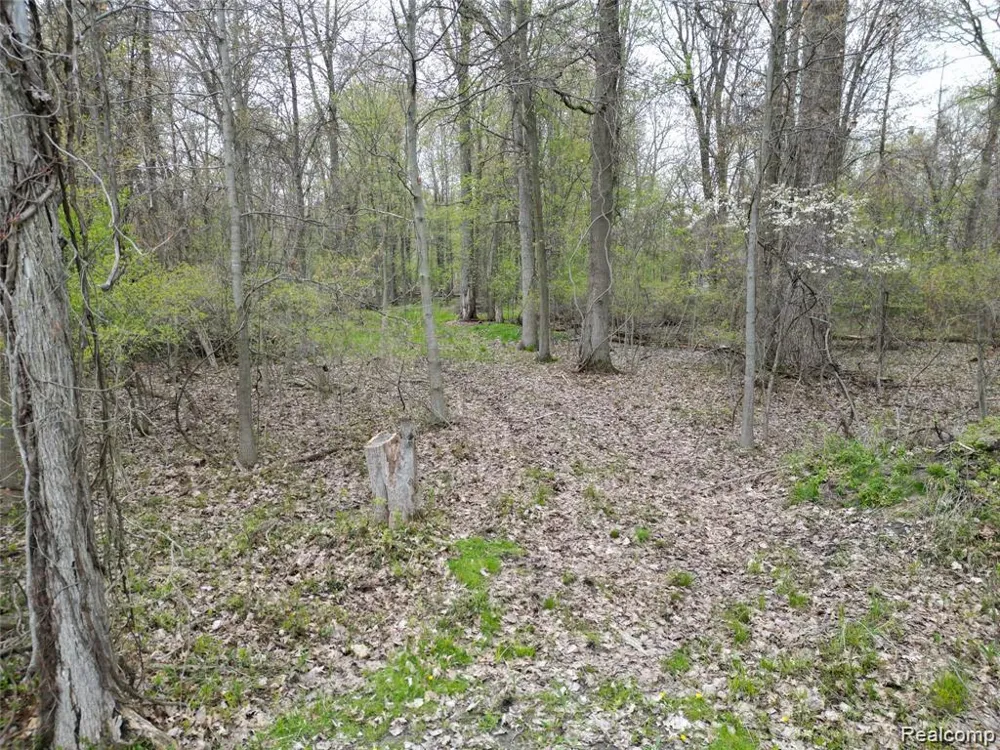 197 N Cotter Road Hampton Charter Township, MI 48732