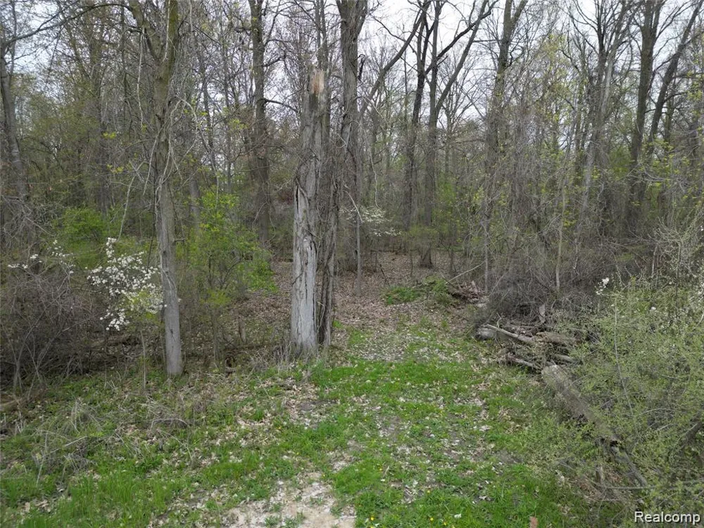 197 N Cotter Road Hampton Charter Township, MI 48732