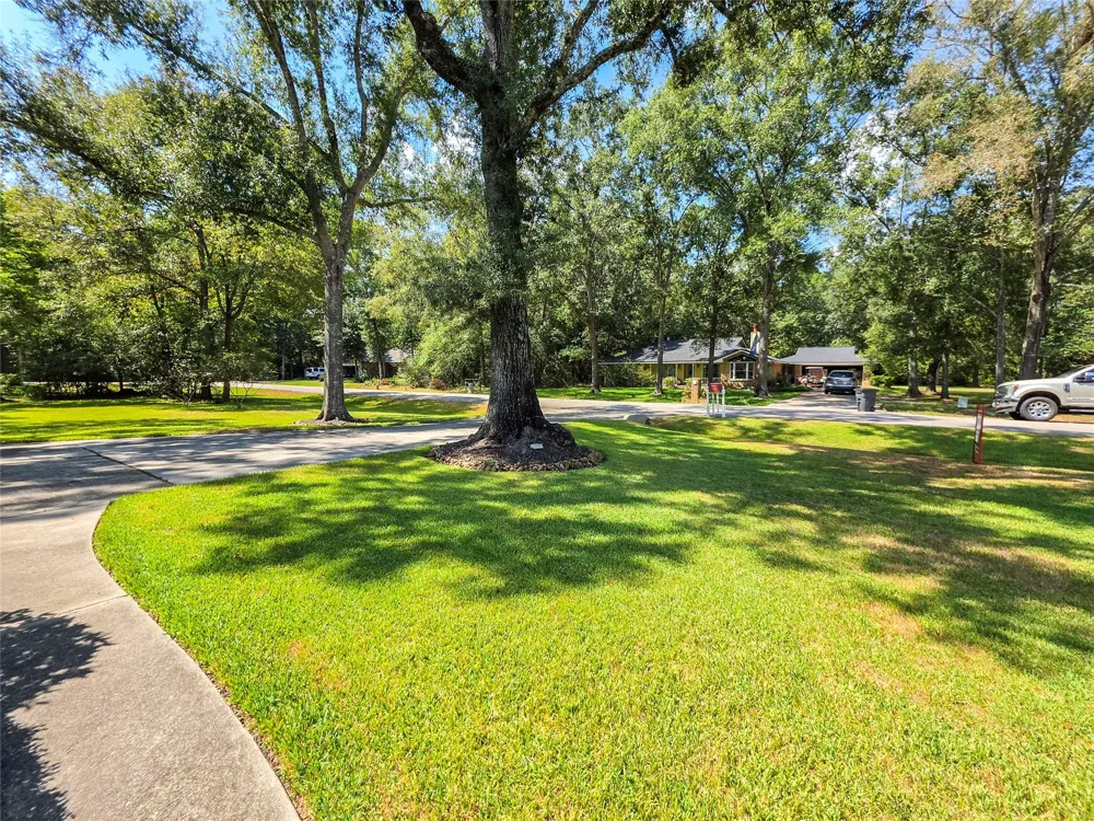 2506 Constantine Street New Caney, TX 77357
