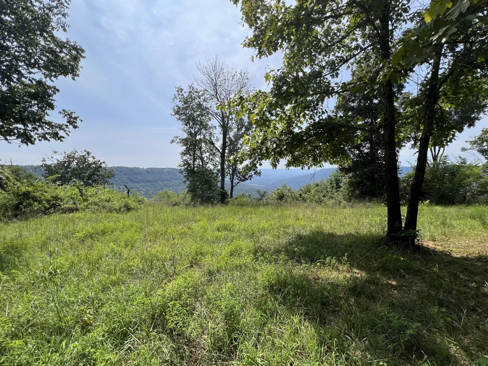 277 Sunset Circle Jasper, TN 37347