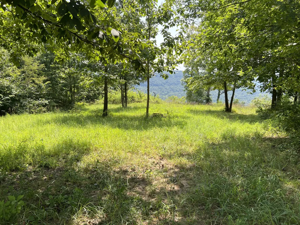277 Sunset Circle Jasper, TN 37347