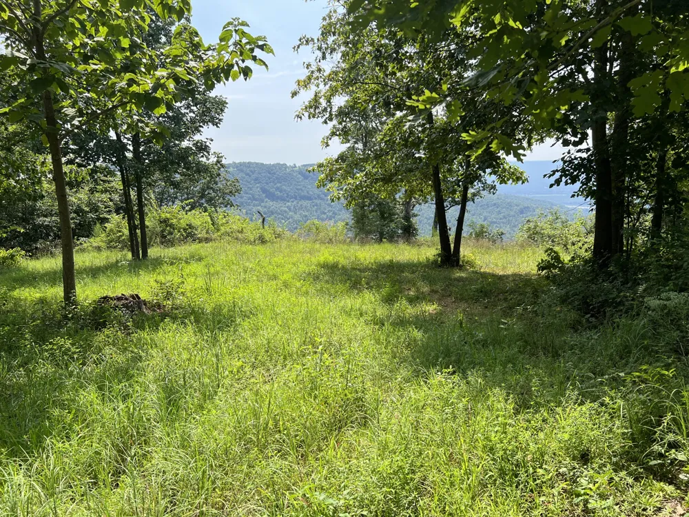 277 Sunset Circle Jasper, TN 37347
