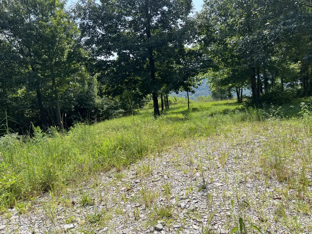 277 Sunset Circle Jasper, TN 37347