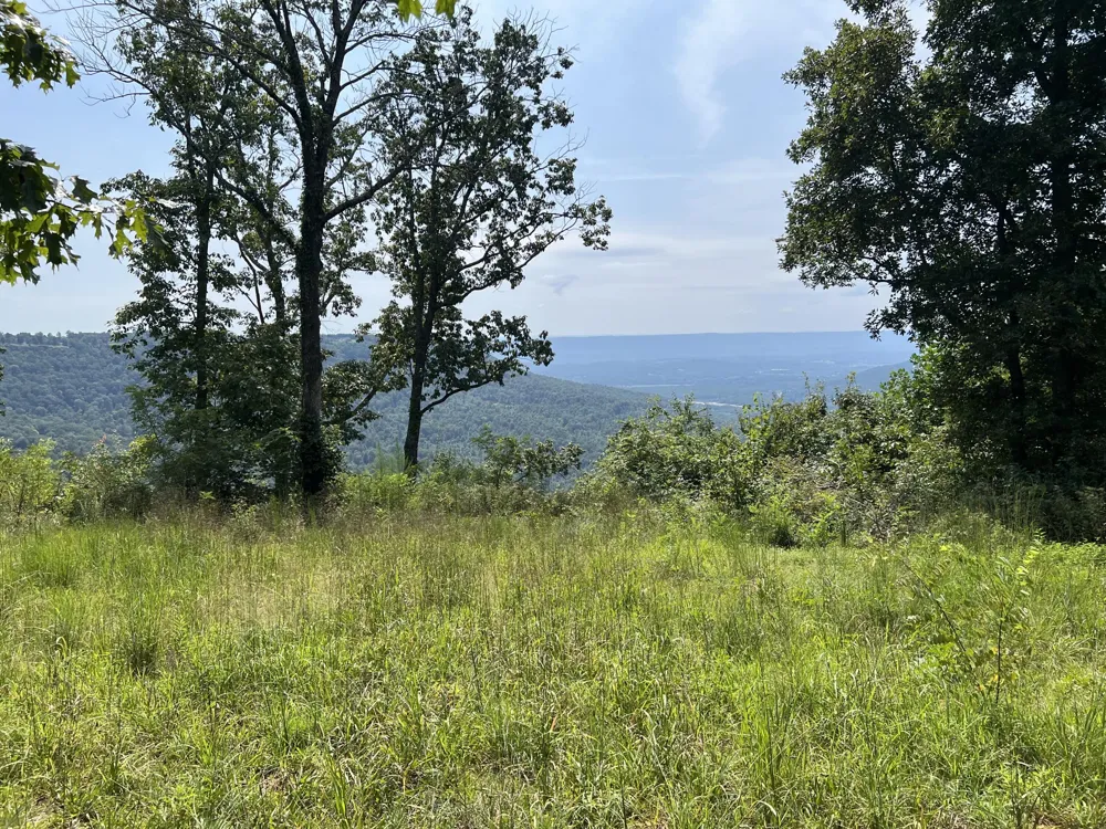277 Sunset Circle Jasper, TN 37347