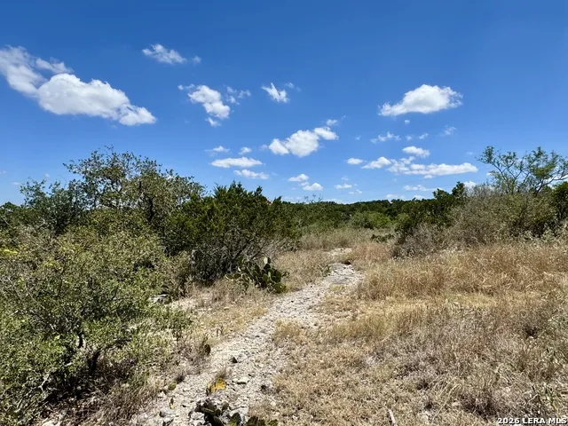 LOT 25 County Road 2602 Mico, TX 78056