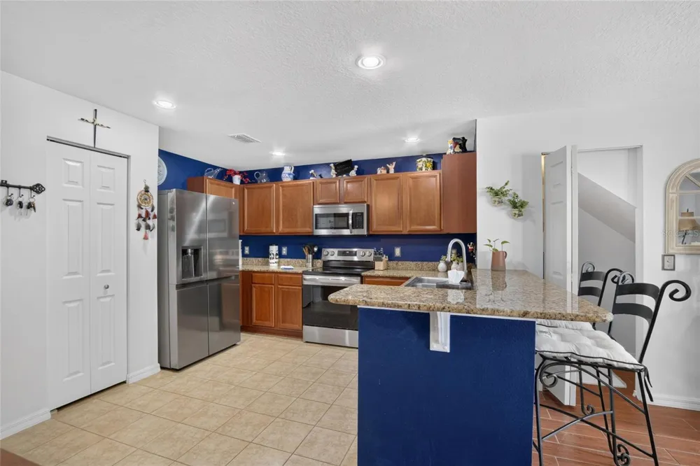 2919 ROYAL TUSCAN LANE Valrico, FL 33594