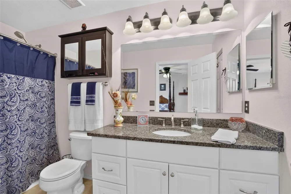 2919 ROYAL TUSCAN LANE Valrico, FL 33594