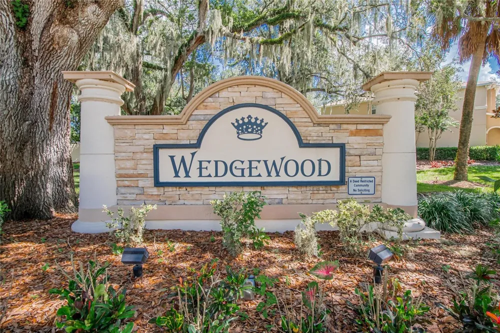 2919 ROYAL TUSCAN LANE Valrico, FL 33594
