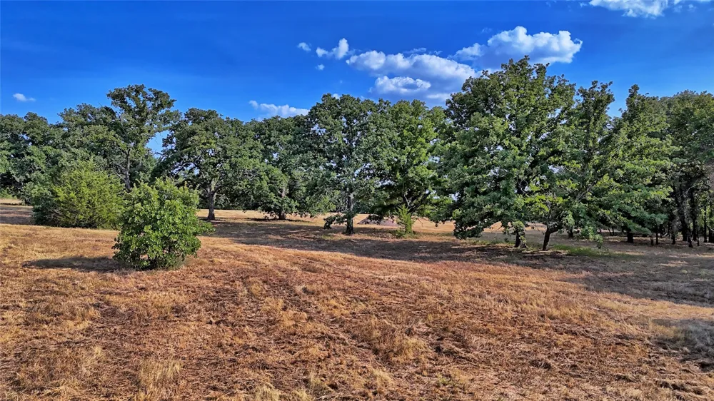 384 Red Oak Hills Road Nocona, TX 76255