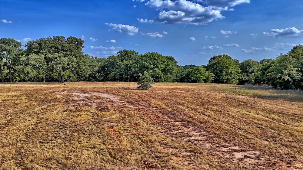 384 Red Oak Hills Road Nocona, TX 76255