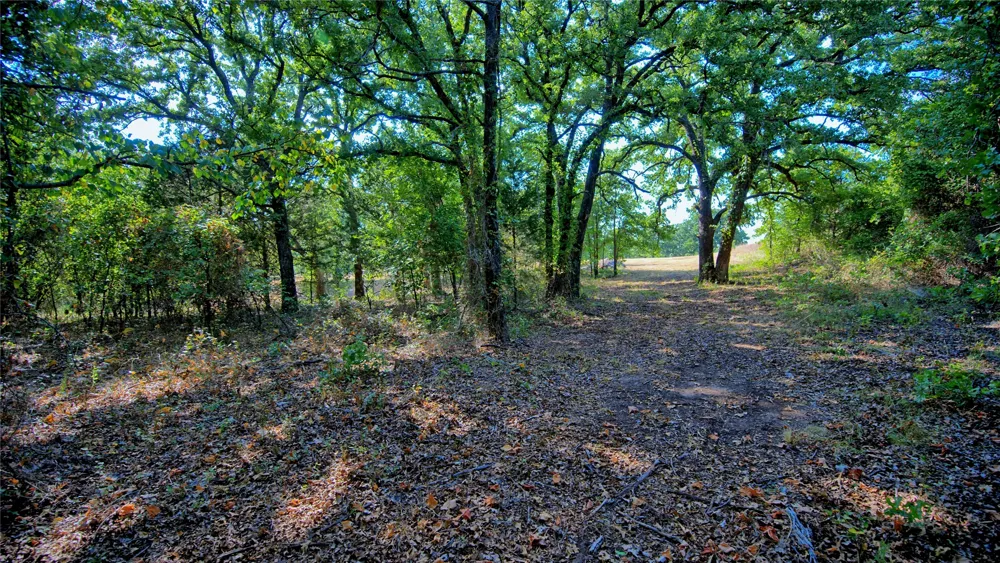 384 Red Oak Hills Road Nocona, TX 76255