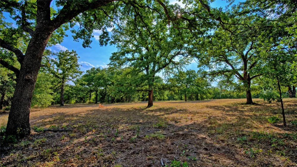 384 Red Oak Hills Road Nocona, TX 76255