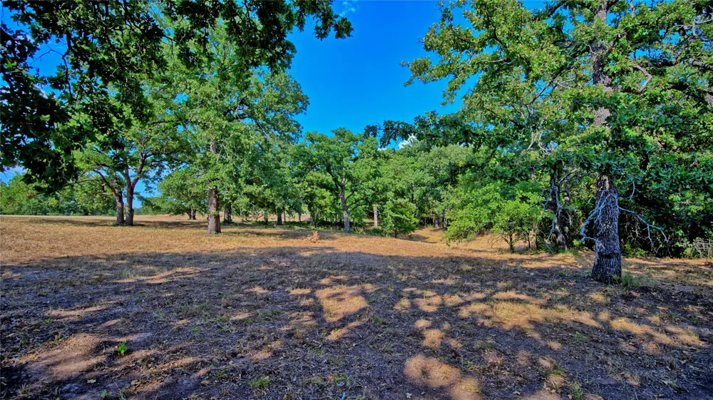 384 Red Oak Hills Road Nocona, TX 76255