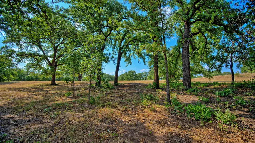 384 Red Oak Hills Road Nocona, TX 76255