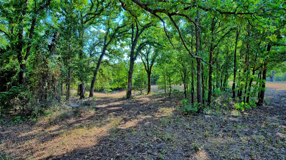 384 Red Oak Hills Road Nocona, TX 76255