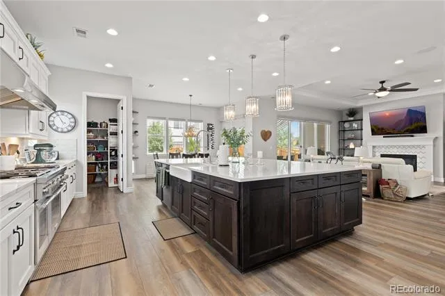 2684 Keepsake Way Castle Rock, CO 80109