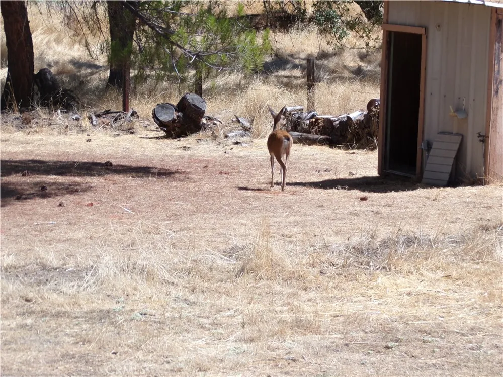 4580 S.TERRACE Lakeport, CA 95453