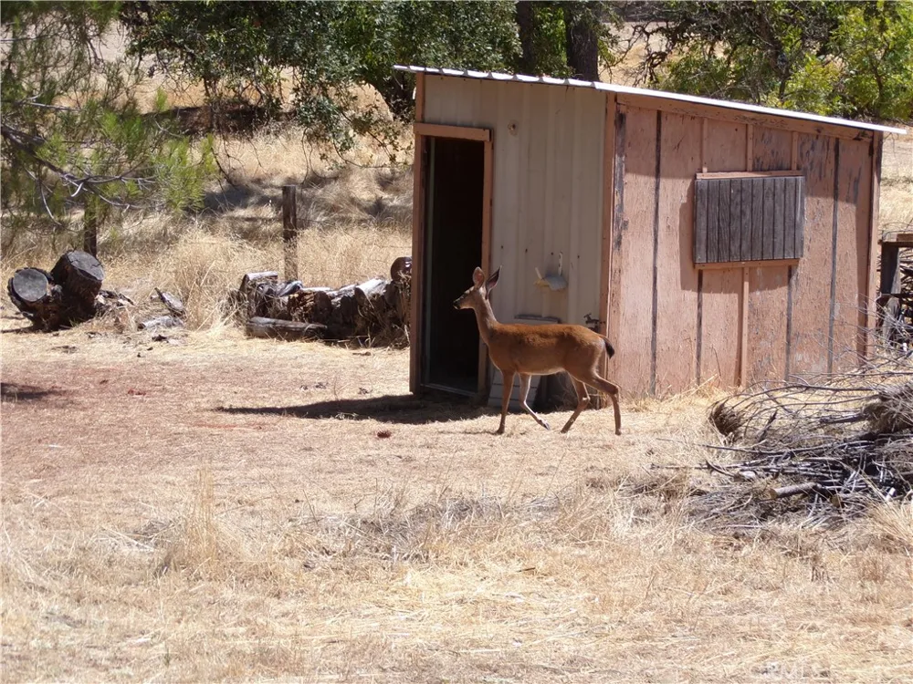 4580 S.TERRACE Lakeport, CA 95453