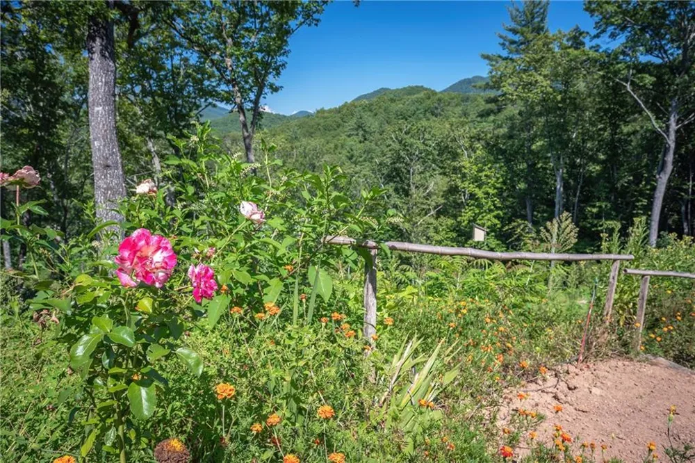 177 Kennedys Court Blairsville, GA 30512