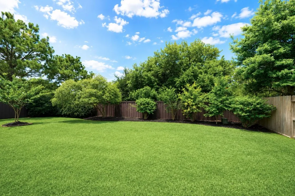 10005 Willowmoor Lane Brookshire, TX 77423
