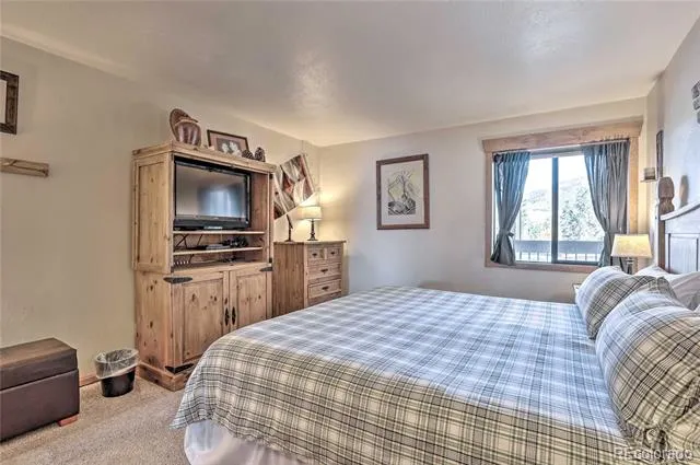 311 W La Bonte Street #206 Dillon, CO 80435