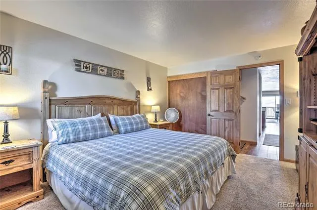 311 W La Bonte Street #206 Dillon, CO 80435