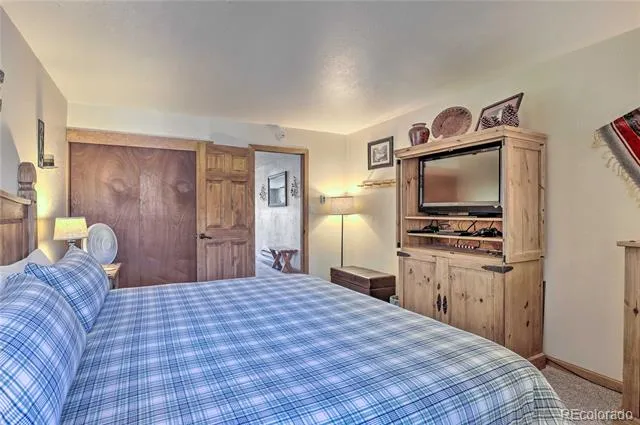 311 W La Bonte Street #206 Dillon, CO 80435