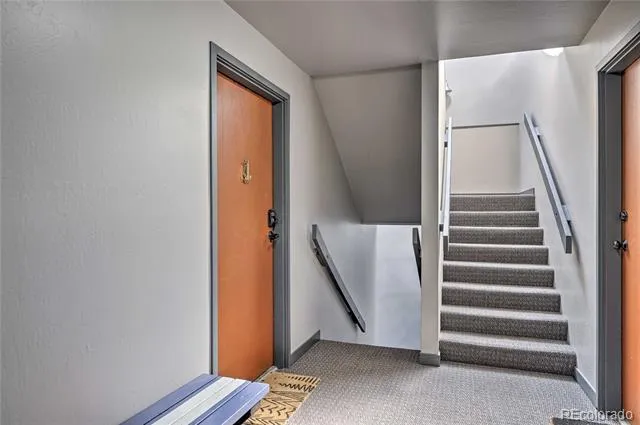 311 W La Bonte Street #206 Dillon, CO 80435