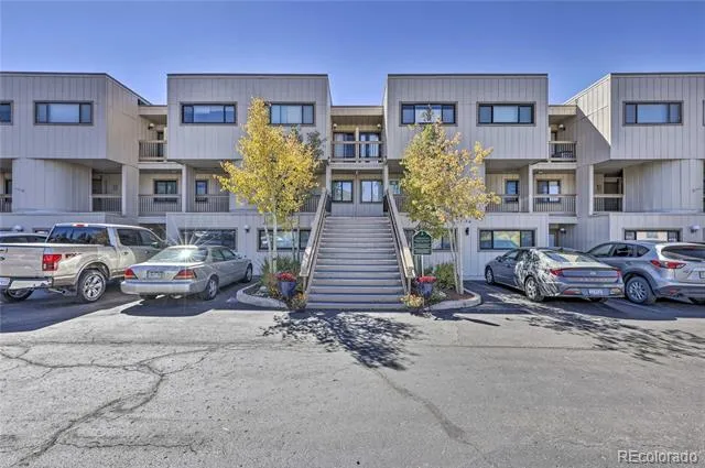 311 W La Bonte Street #206 Dillon, CO 80435