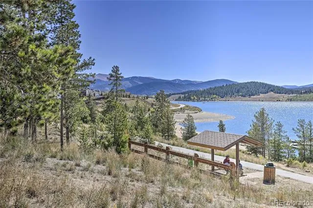 311 W La Bonte Street #206 Dillon, CO 80435
