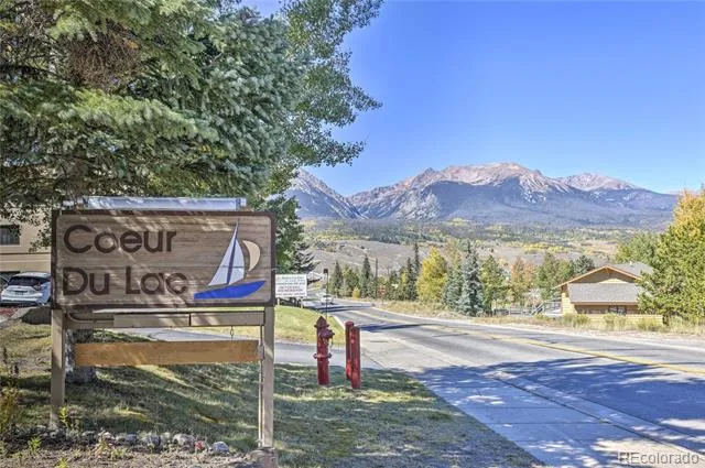 311 W La Bonte Street #206 Dillon, CO 80435