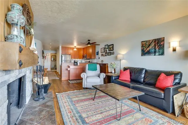 311 W La Bonte Street #206 Dillon, CO 80435