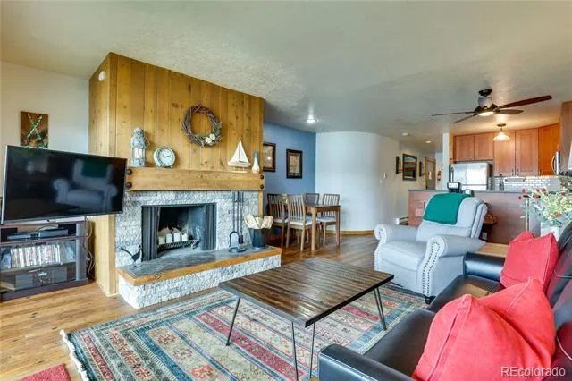311 W La Bonte Street #206 Dillon, CO 80435