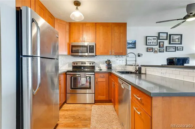 311 W La Bonte Street #206 Dillon, CO 80435