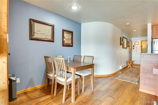 311 W La Bonte Street #206 Dillon, CO 80435