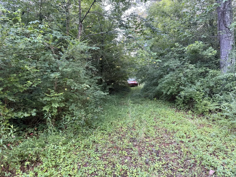 1418 Caldwell Street Rossville, GA 30741