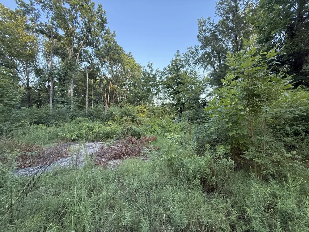 1418 Caldwell Street Rossville, GA 30741
