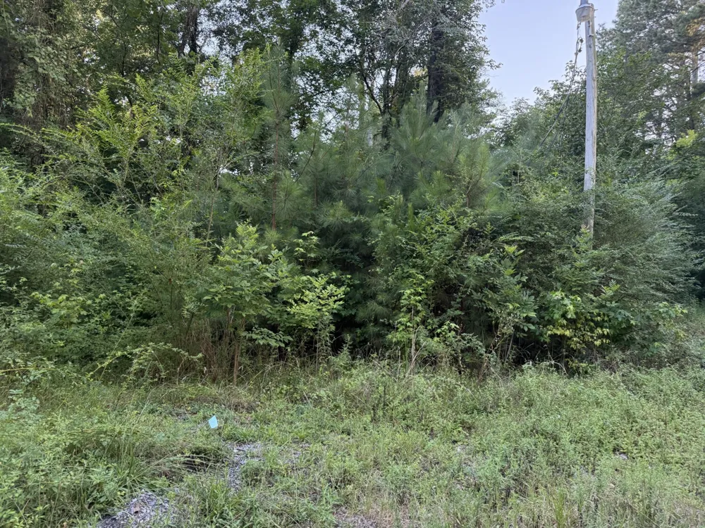 1418 Caldwell Street Rossville, GA 30741