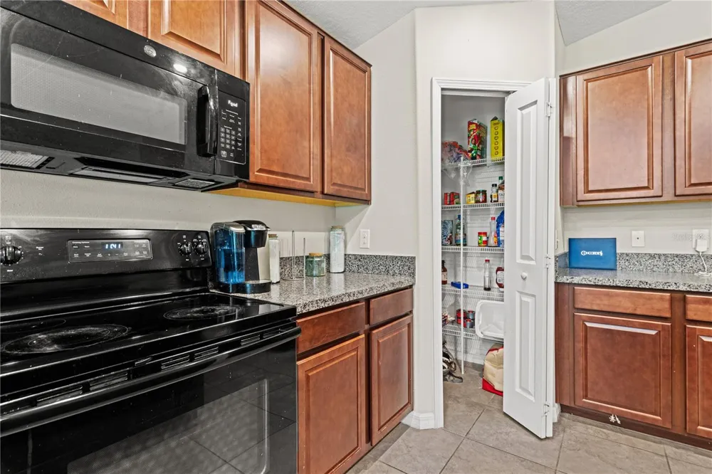 2979 MOULDEN HOLLOW DRIVE Zephyrhills, FL 33540