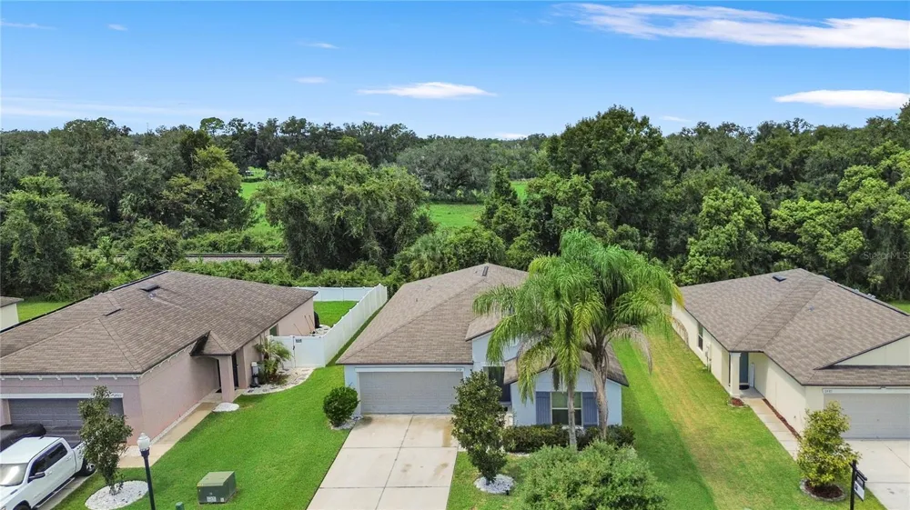 2979 MOULDEN HOLLOW DRIVE Zephyrhills, FL 33540