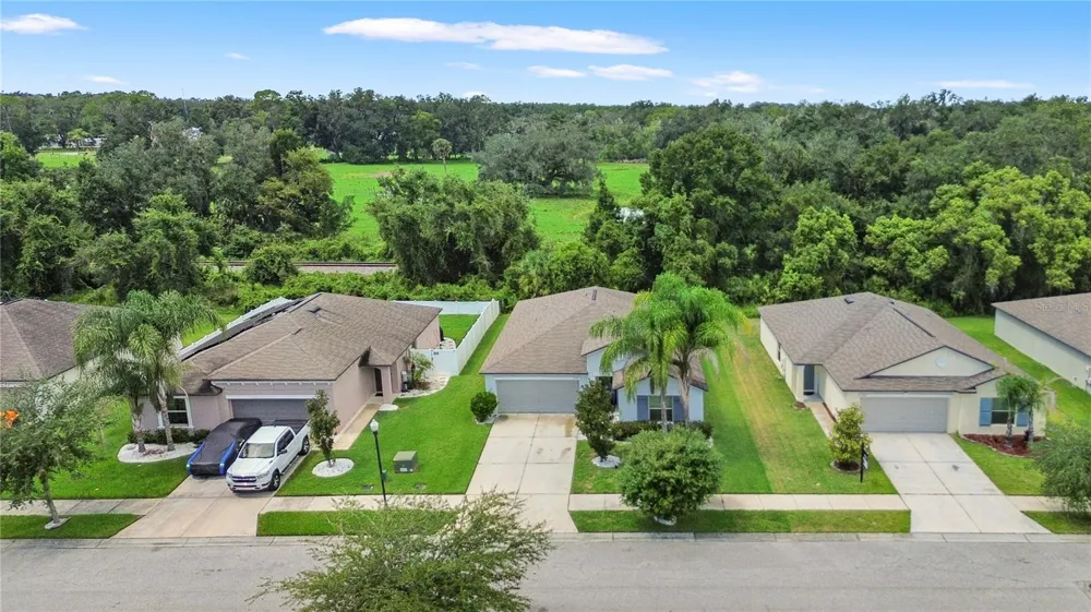 2979 MOULDEN HOLLOW DRIVE Zephyrhills, FL 33540